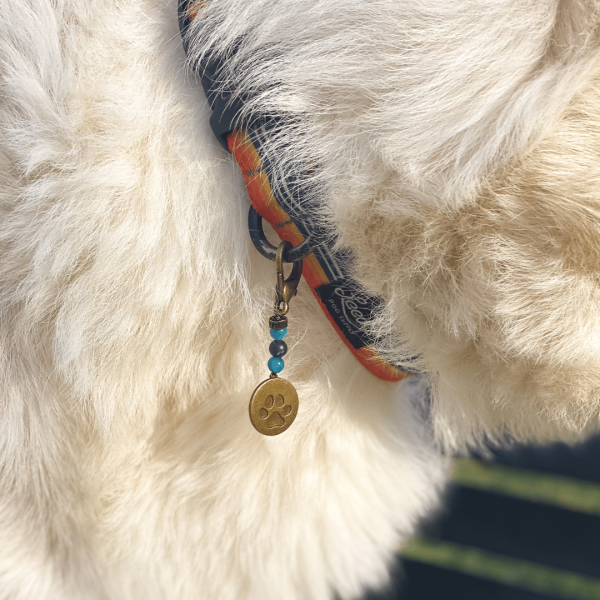 Health Pet Charm - Image 2