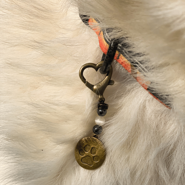 Separation Anxiety Pet Charm - Image 3