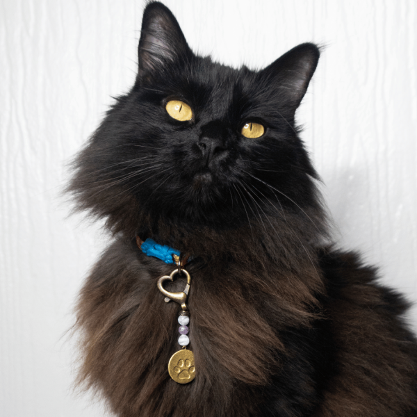 Calm Pet Charm - Image 2