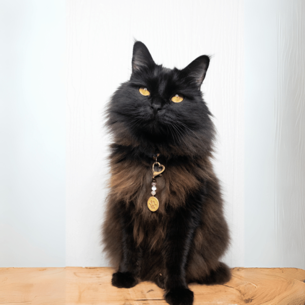 Love Pet Charm - Image 4