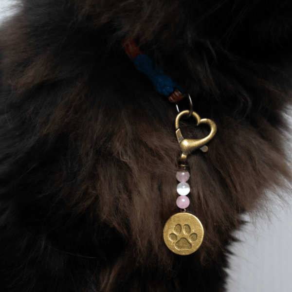 Love Pet Charm - Image 3