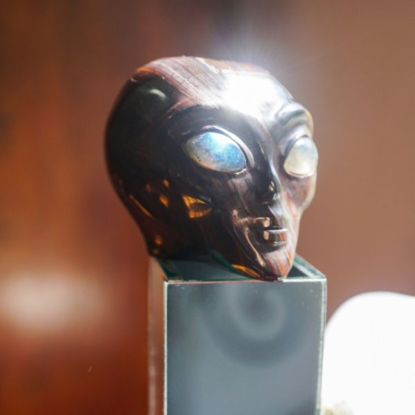 Tiger Iron Alien - Image 2