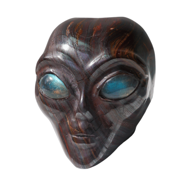 Tiger Iron Alien - Image 3