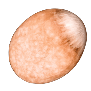 Pink Scolecite Touchstone