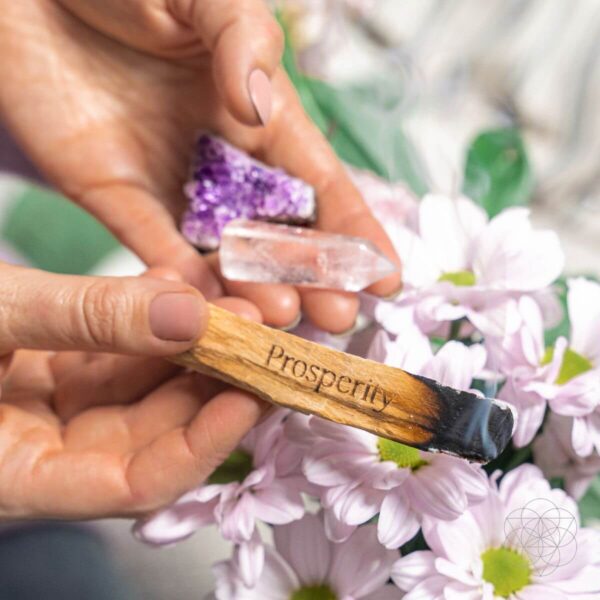 Attract Abundance - Premium Manifestation Smudge Kit (8 Pieces) - Image 2