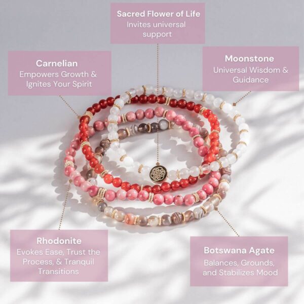 Change & Transformation Bracelet Pack of 4 - Image 4
