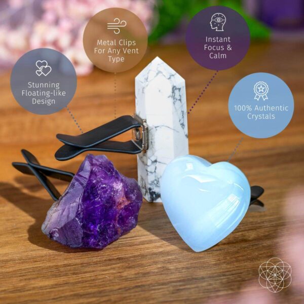 Focused Driver - Crystal Car Kit of Protection - Image 4