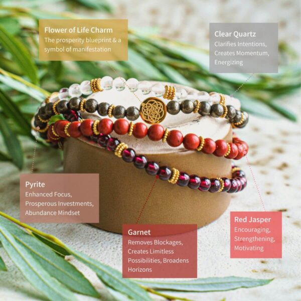 Prosperity Magnet Bracelet Pack of 4 - Image 4