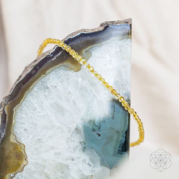 The Abundance Anklet - Image 6