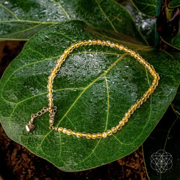 The Abundance Anklet - Image 7