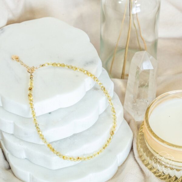 The Abundance Anklet - Image 4