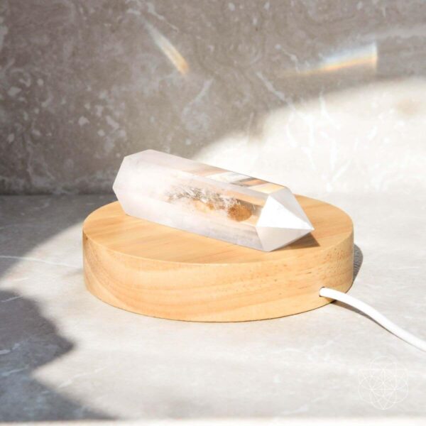 The Healing Lamp - Image 6