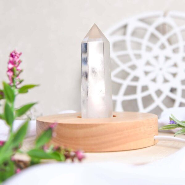 The Healing Lamp - Image 4