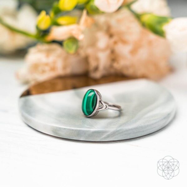 The Heart-Healing Ring - Image 5