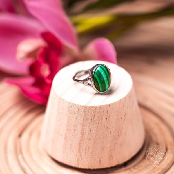 The Heart-Healing Ring - Image 4