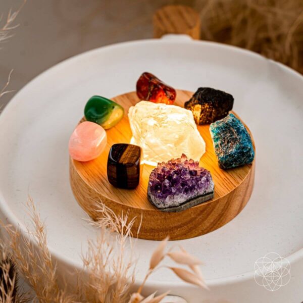 The Natural Energy Lamp - Image 4