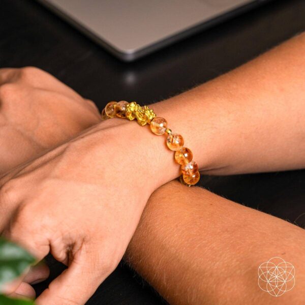 The Ultimate Wealth Bracelet - Image 4