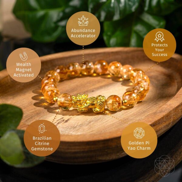 The Ultimate Wealth Bracelet - Image 5