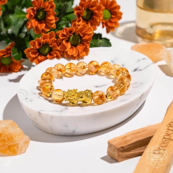 The Ultimate Wealth Bracelet - Image 6