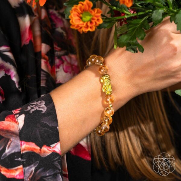 The Ultimate Wealth Bracelet - Image 3