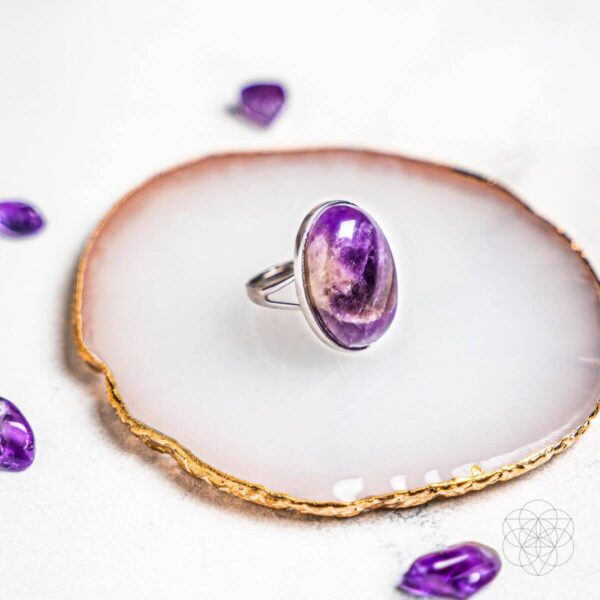 The Visualization Ring - Image 4
