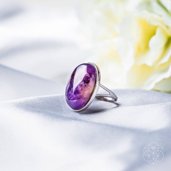 The Visualization Ring - Image 6