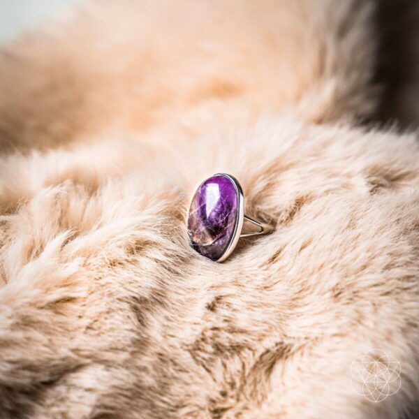 The Visualization Ring - Image 5