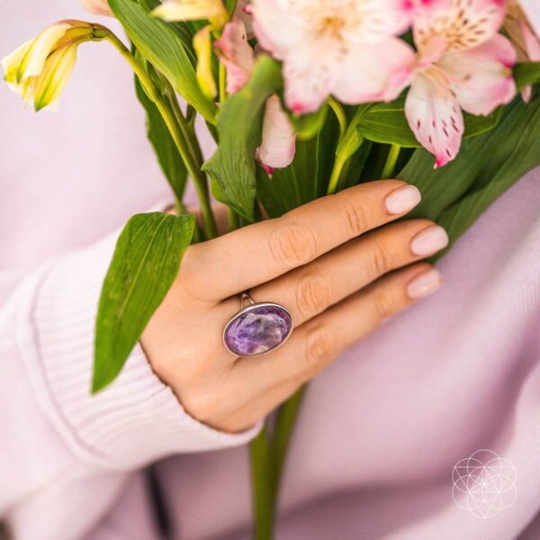 The Visualization Ring - Image 2