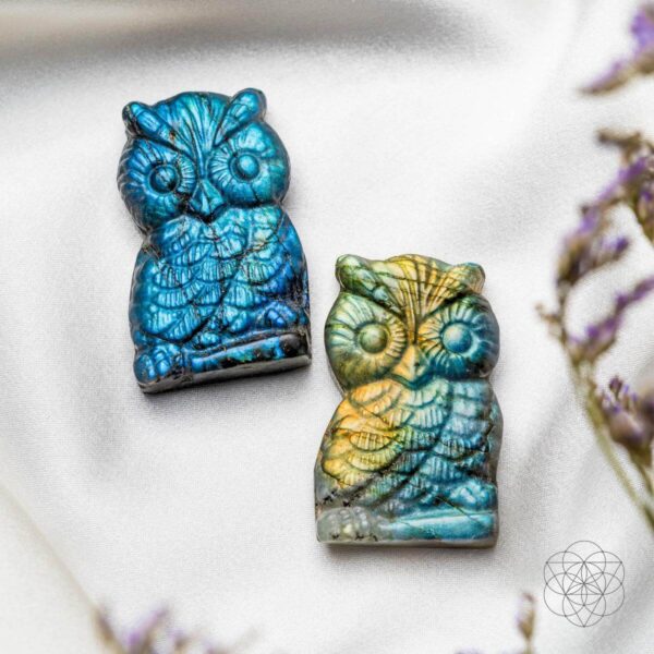 Token of Wisdom - Labradorite Owl Talisman - Image 7