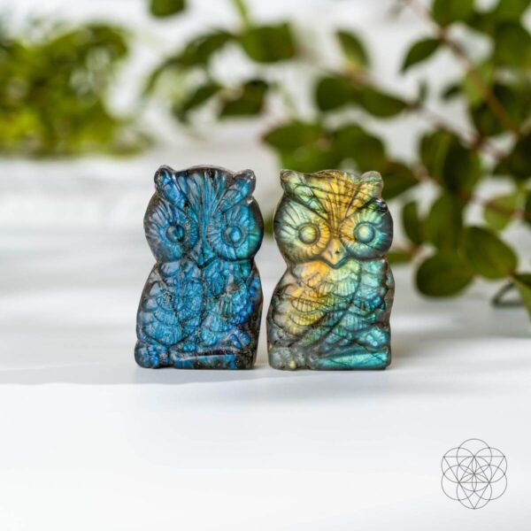 Token of Wisdom - Labradorite Owl Talisman - Image 6