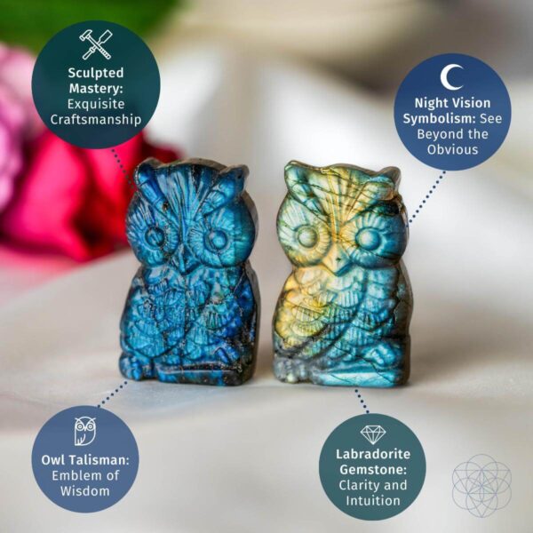 Token of Wisdom - Labradorite Owl Talisman - Image 4