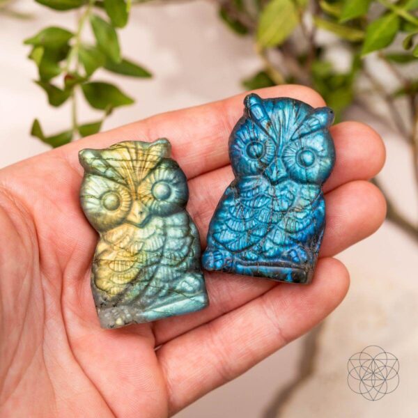 Token of Wisdom - Labradorite Owl Talisman - Image 2