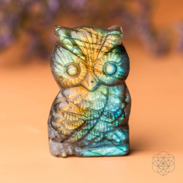 Token of Wisdom - Labradorite Owl Talisman - Image 5