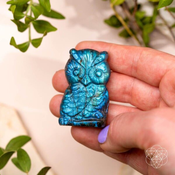 Token of Wisdom - Labradorite Owl Talisman - Image 3