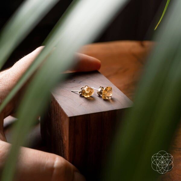 Wealth and Abundance Earring Set - Image 4